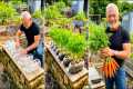 15 Easy Gardening Tricks Anyone Can