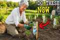 10 Essential Gardening Tips to Plant