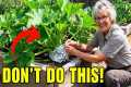 60 years of Gardening Advice in 15