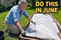 27 Garden Tasks You MUST Do In June