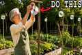 40 Must-Do Garden Tips in May That
