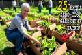 25 GENIUS Off-Grid Gardening Tricks