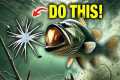 How Everyday Anglers Fish Coike Baits 