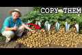 50 Easy Grandparents Vegetable