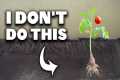 Unpopular Gardening Techniques I Do