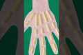 Easy and Fun Paper Hand Activity for