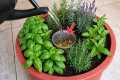 The Genius Pot Gardening Trick Every