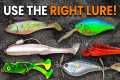 Ultimate Beginner Fishing Lure Guide