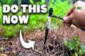 7 Things Smart Gardeners Do That