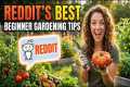 Reddit’s Best Beginner Gardening Tips