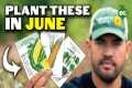 8 Crops You'd Be WILD Not To Plant in 