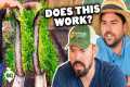 Pro Gardeners Expose The Truth Behind 