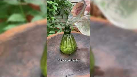 3 Flowering Hack And Tips #gardening