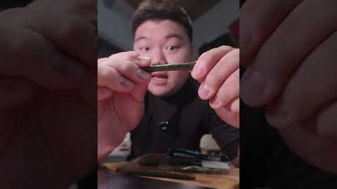 The great senko conspiracy! #bassfishingtips #bassfishing #bassfeatured