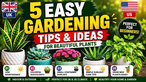     Start Gardening Today! 5 Simple Plant Ideas for Beginners
