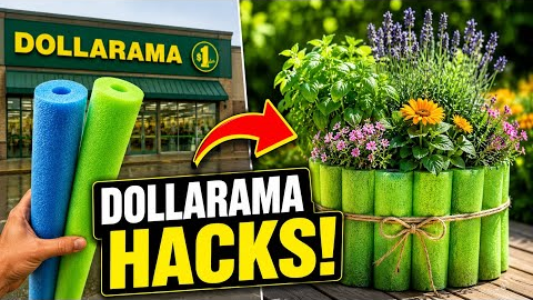 10 Genius Dollarama Garden Hacks That Actually Work! | Budget Gardening Canada 🇨🇦