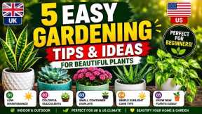     Start Gardening Today! 5 Simple Plant Ideas for Beginners