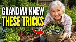 7 Forgotten Garden Tricks They Don't Teach Anymore