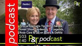 Crucial Clematis Tip, Chelsea Flower Show TV Legends, Rose Care & Questions on Acers & Dahlia