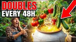 🔥This simple bucket trick makes plants grow like crazy!