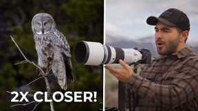 Is Micro Four Thirds the Ultimate Wildlife Photography Hack?