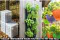 20 Dollar Tree Garden Hacks You Need