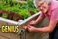 15 Unpopular Gardening Tips Grandma