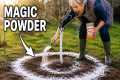 17 Things The Gardening Industry