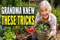 7 Forgotten Garden Tricks They Don't
