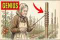 Smart Gardening Tricks Only Grandma