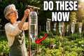 Do These 50 May Organic Gardening