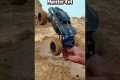 RC Cars vs Impossible Mud Challenge!