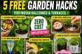🌱 5 Free Garden Hacks Every Gardener 
