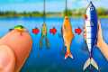 Every Time I Catch A Fish, My Lure