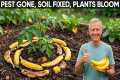 How to Use BANANA PEELS in the